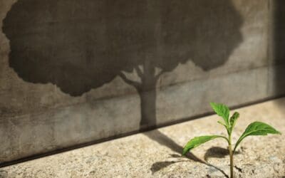 A Living Church is a Growing Church: Built by Evangelism